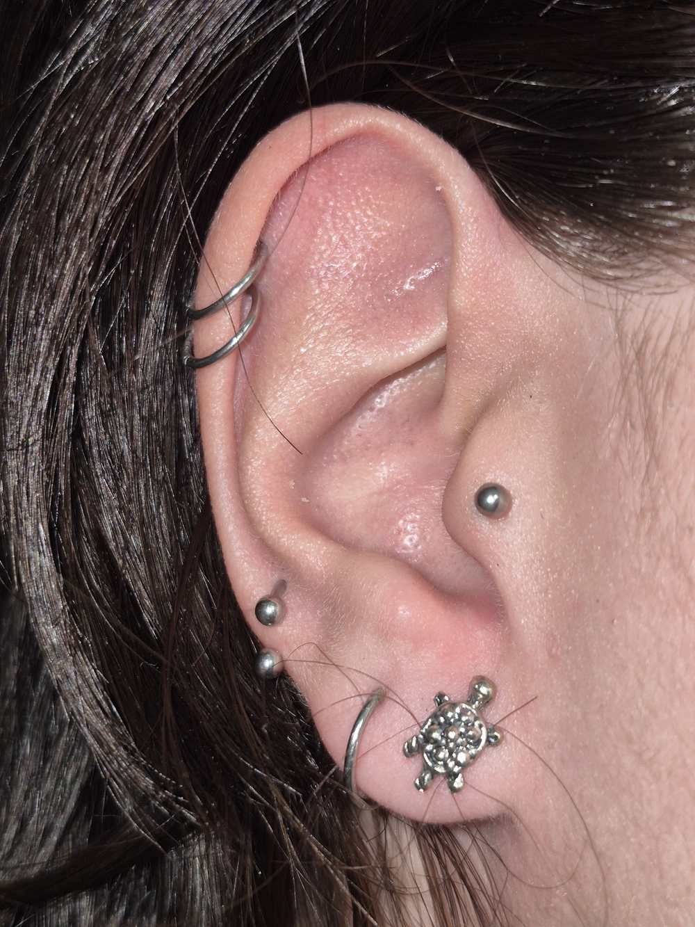 Turtle Stud Earring